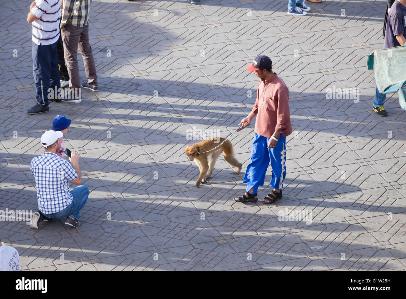Una catena di monkey pone per la telecamera in Piazza Jemaa El Fna, Marrakech, Marocco Foto Stock