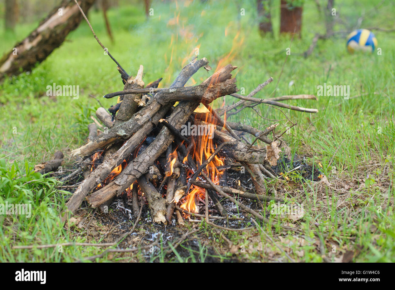 Il falò nella foresta Foto Stock