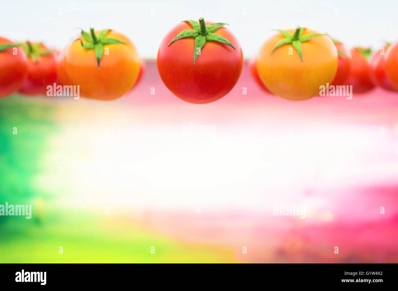 Pomodori freschi e uno sfondo colorato Foto Stock