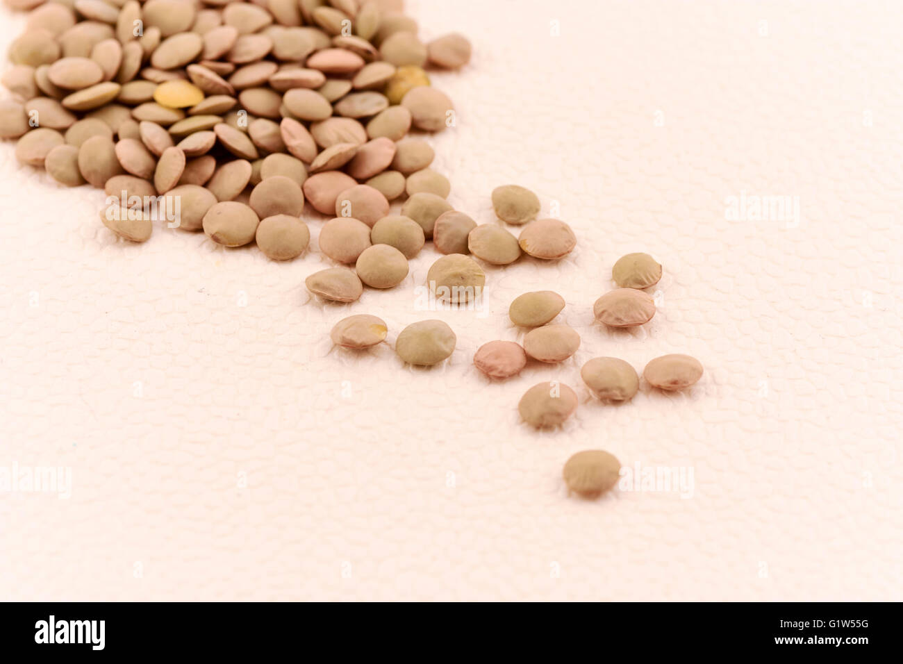 Semi di lenticchie. Un tipo di legume. Foto Stock