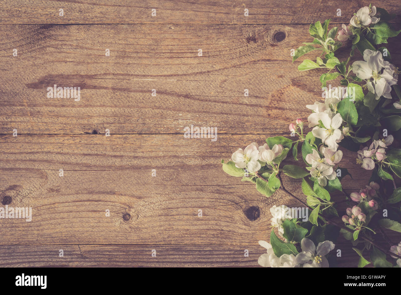 Bella foto per cartoline, carte regalo etc. Rustico sfondo di legno e fiori di apple. Copia spazio per il testo. Trasognata tonificante Foto Stock