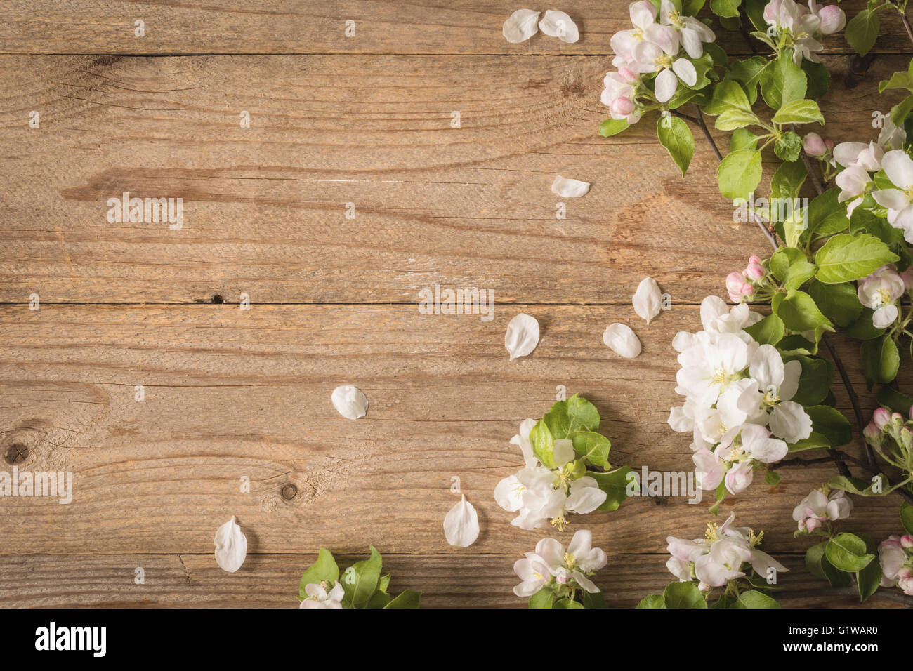 Bella foto per cartoline, carte regalo etc. Rustico sfondo di legno e fiori di apple. Copia spazio per il testo. Trasognata tonificante Foto Stock