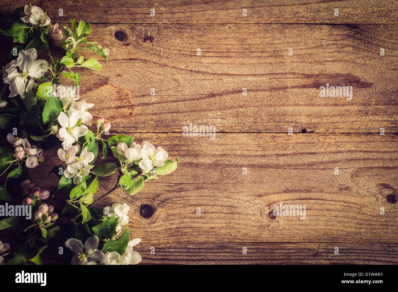 Bella foto per cartoline, carte regalo etc. Rustico sfondo di legno e fiori di apple. Copia spazio per il testo. Trasognata tonificante Foto Stock