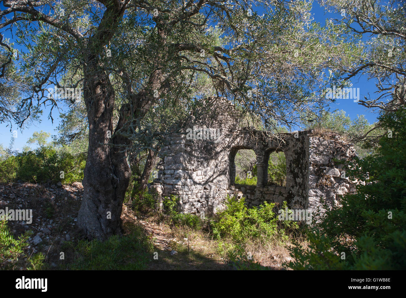 Le rovine della chiesa paleocristiana di Agios Stefanos, vicino a Ozia., Paxos, Grecia Foto Stock