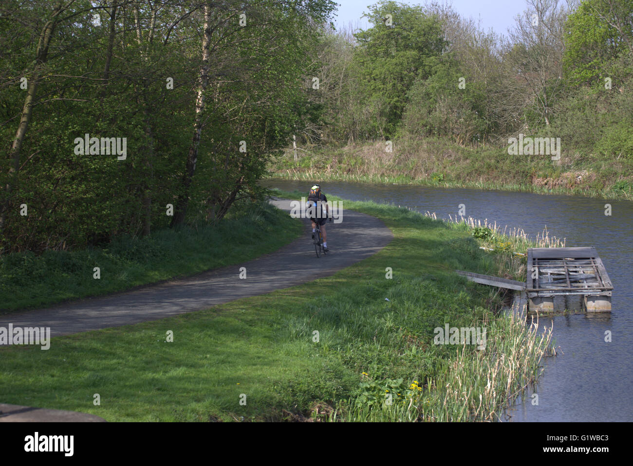 Ciclista in bicicletta sull'alzaia sul canale Forth e Clyde vicino Rotherwood Avenue , Glasgow, Scozia, Regno Unito. Foto Stock