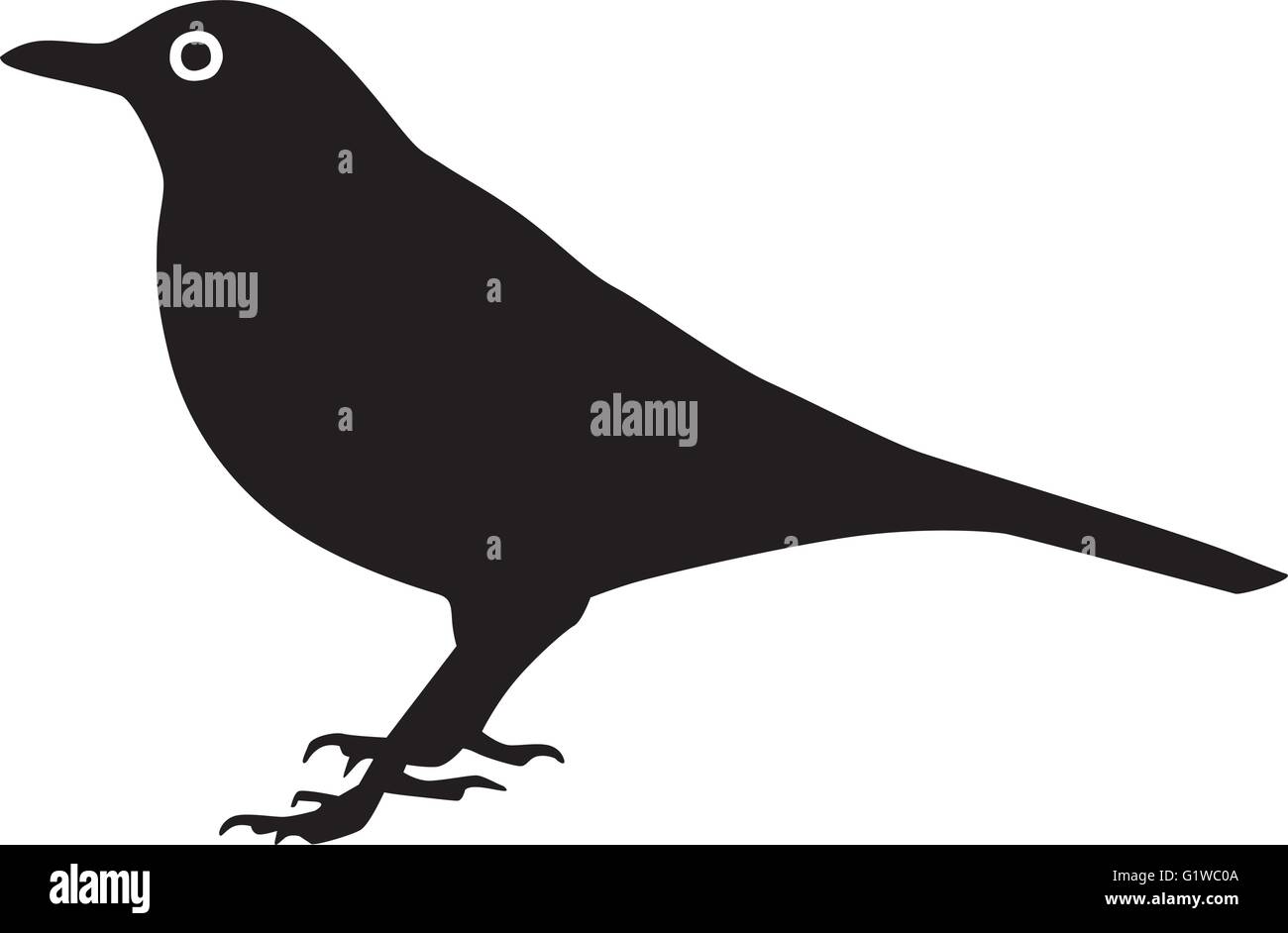 Blackbird silhouette con occhio Illustrazione Vettoriale