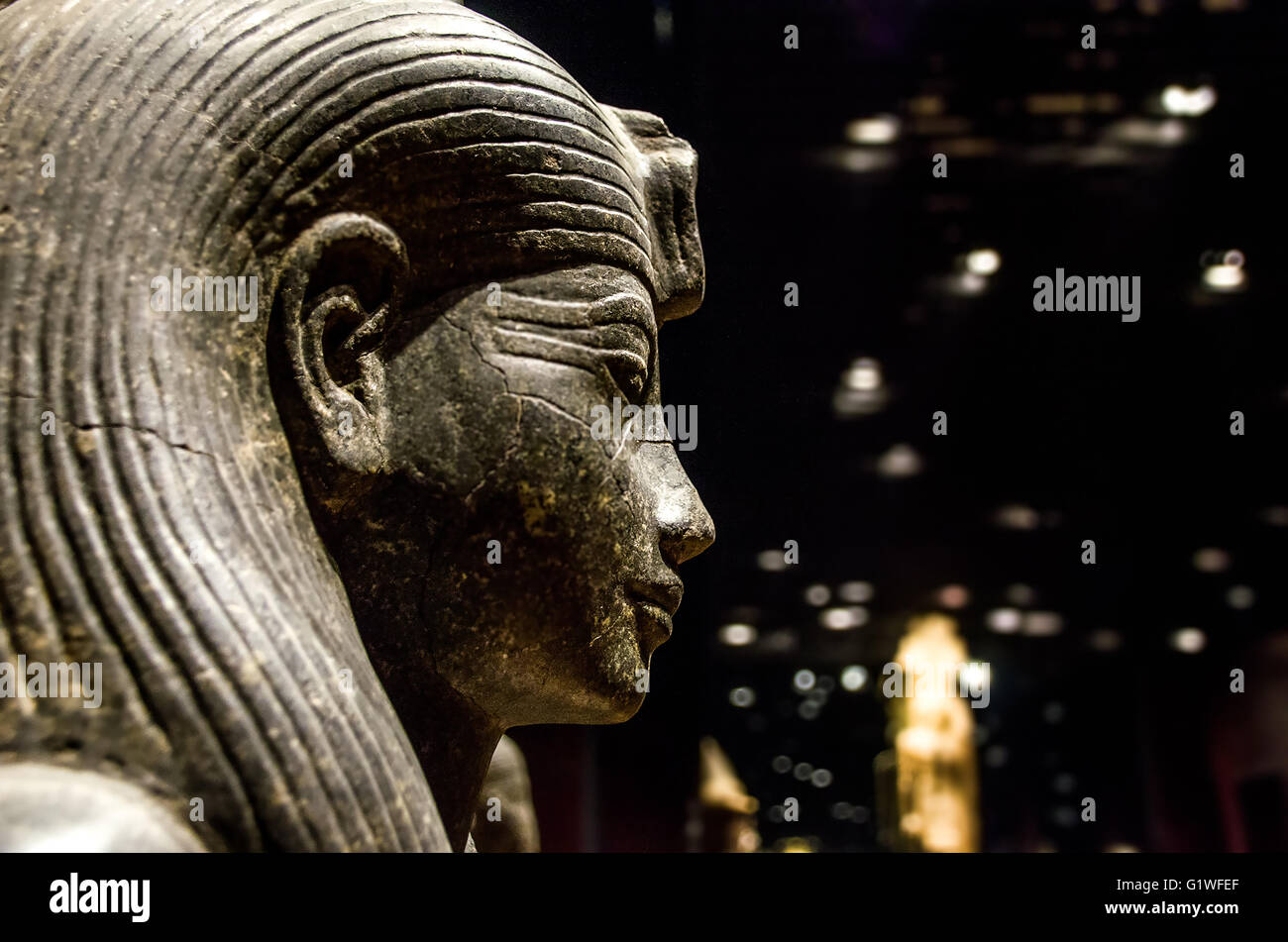 Torino, Italia, 8 Marzo 2013: profilo laterale di una sfinge egizia statua a Torino il Museo Egizio Foto Stock