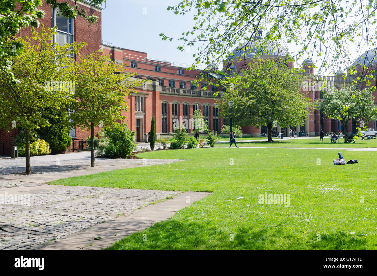 Spazi verdi aperti a Birmingham University campus Foto Stock
