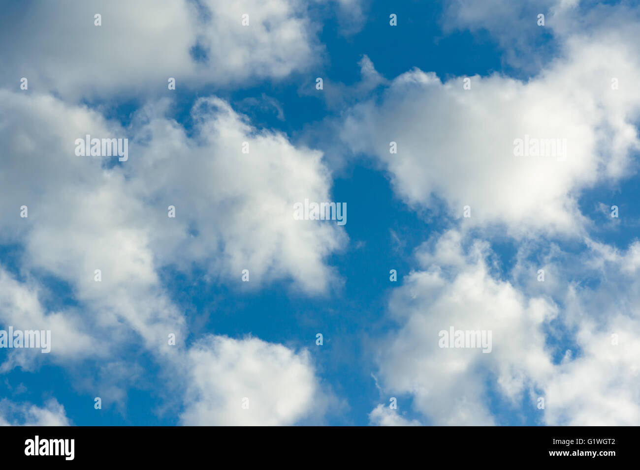 Luce bianca galleggiante nubi attraverso il cielo blu Foto Stock