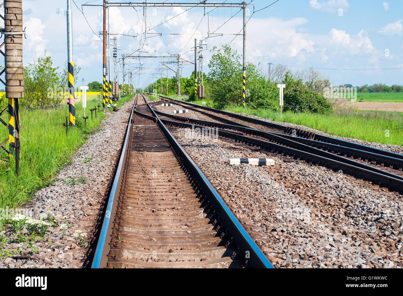 I binari ferroviari con il deviatoio ferroviario in una scena rurale Foto Stock