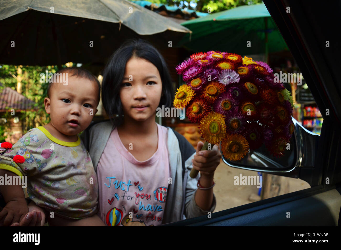 Bambini Hmong vendita pepar fiore per il viaggiatore sulla strada di Phu Hin Rong Kla Parco Nazionale sul dicembre 20, 2015 a Phitsanulokb, Foto Stock