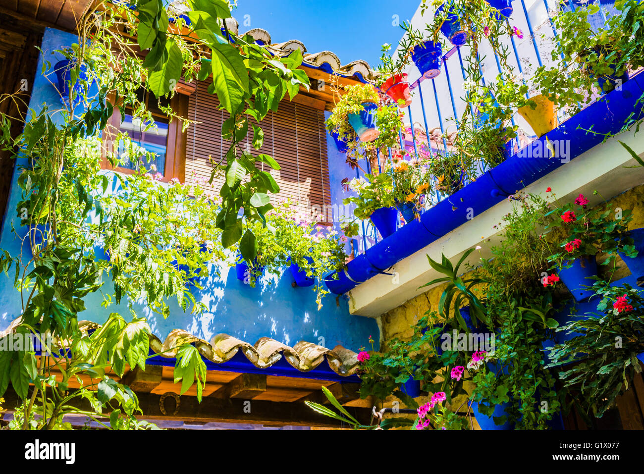 Festa dei cortili di Cordoba 2016 - La Fiesta de Los Patios de Córdoba Foto Stock