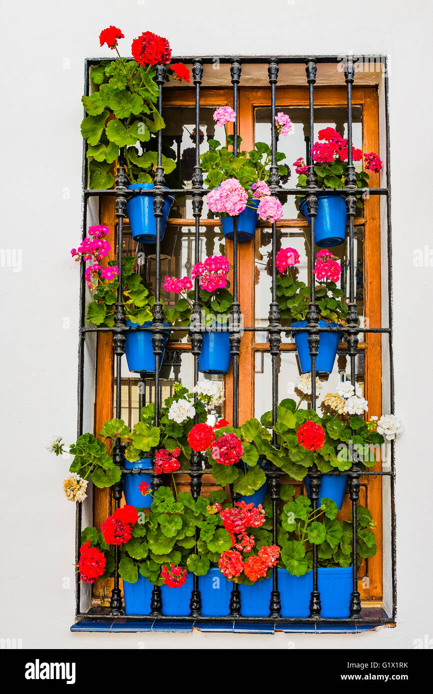 Balconi colorati sono parte della tradizionale architettura del Cordovan case. Córdoba, Andalusia, Spagna, Europa Foto Stock