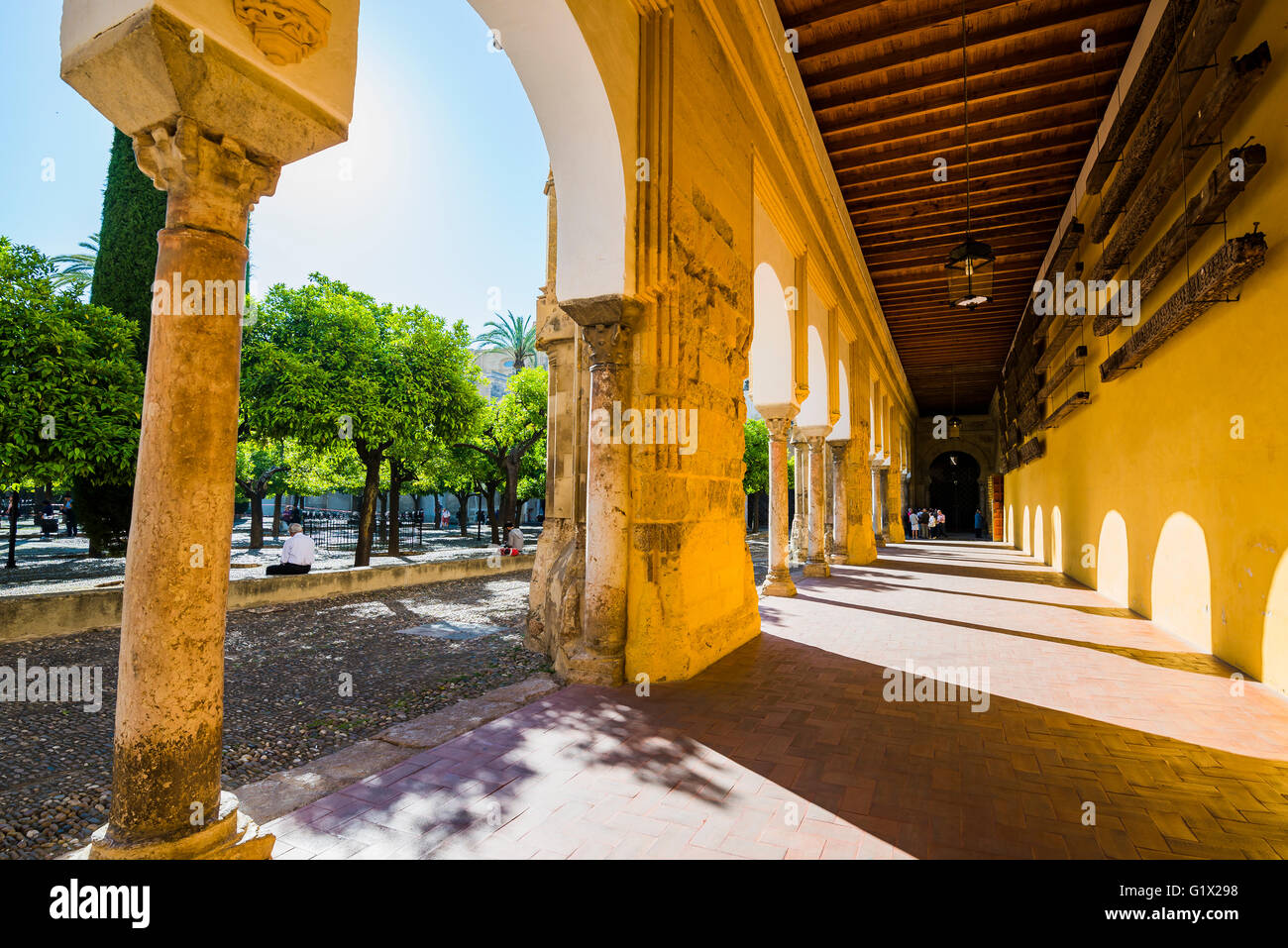 Cortile di alberi di arancio, Moschea-cattedrale di Córdoba, Andalusia, Spagna, Europa Foto Stock