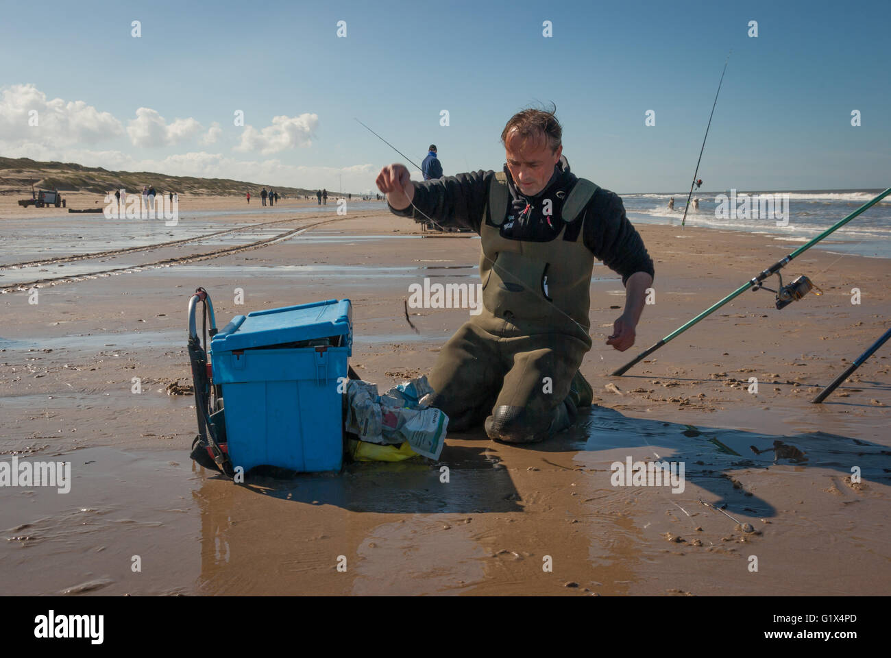 Fisher in waders si inginocchia sulla sabbia bagnata della spiaggia del Mare del Nord, vicino coolbox, untangling la sua linea di pesca con angolo penzolanti Foto Stock