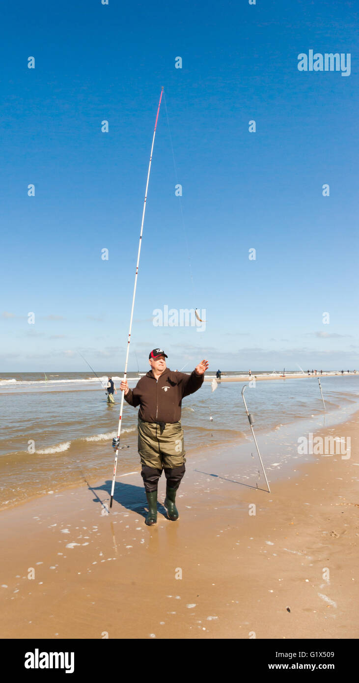 Pescatore con canna da pesca e due pesci catturati sulla linea permanente sulla spiaggia del Mar del Nord vestiti di waders, maglione e cappuccio Foto Stock