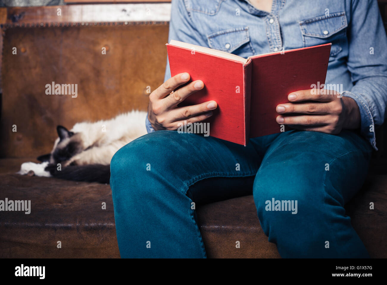 Un giovane uomo è seduto su un divano con un gatto ed è in fase di lettura Foto Stock