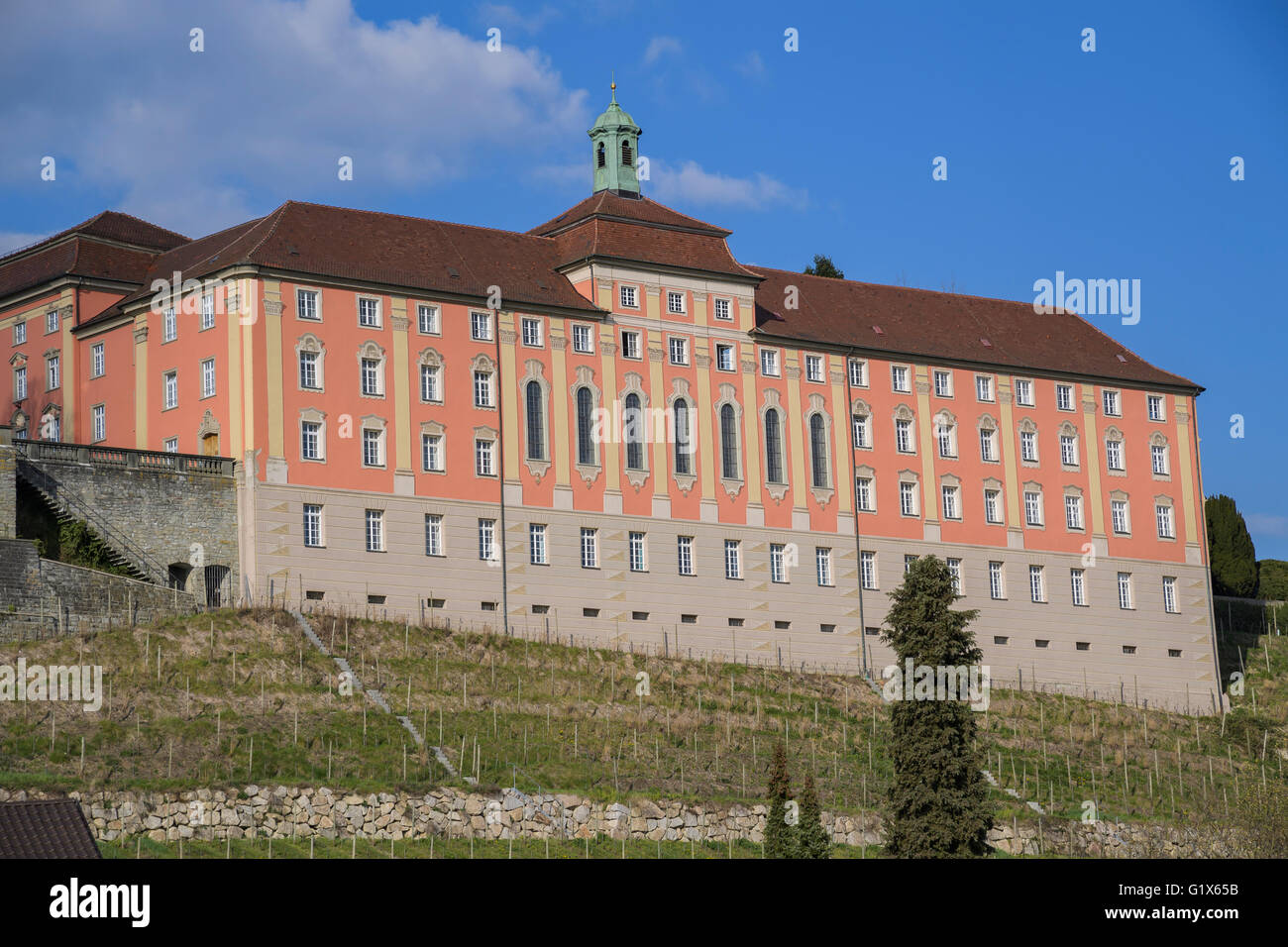 Membro vigna, Meersburg, Baden-Wuerttemberg, Germania Foto Stock