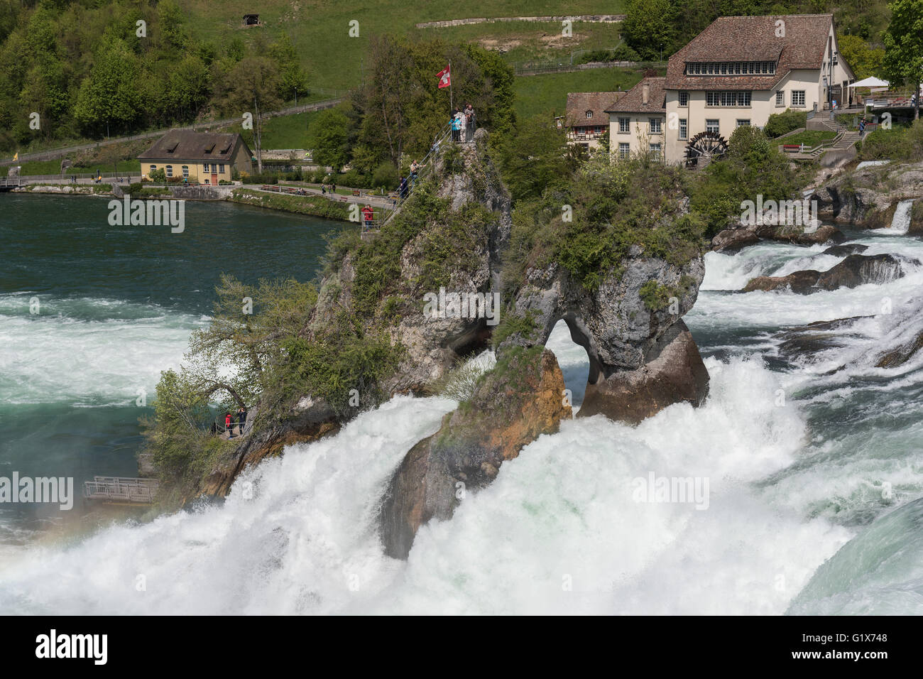 Rheinfall, Cascate del Reno vicino a Sciaffusa, Cantone di Sciaffusa, Svizzera Foto Stock