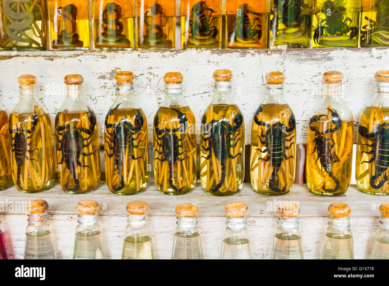 Il vino di riso, il vino di riso con scorpioni per la vendita, Louangphabang, Laos Foto Stock
