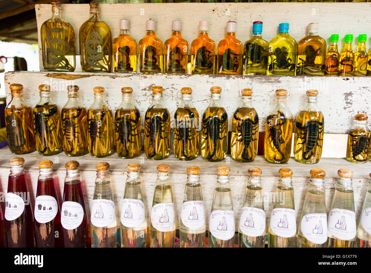 Il vino di riso con scorpioni e serpenti per la vendita, liquore di riso, Louangphabang, Laos Foto Stock