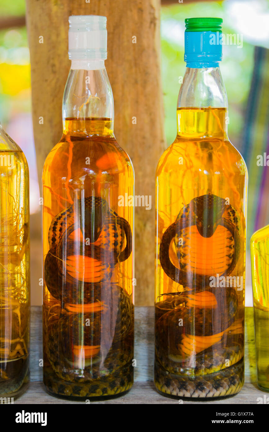Il vino di riso con cobras, liquore di riso, Louangphabang, Laos Foto Stock