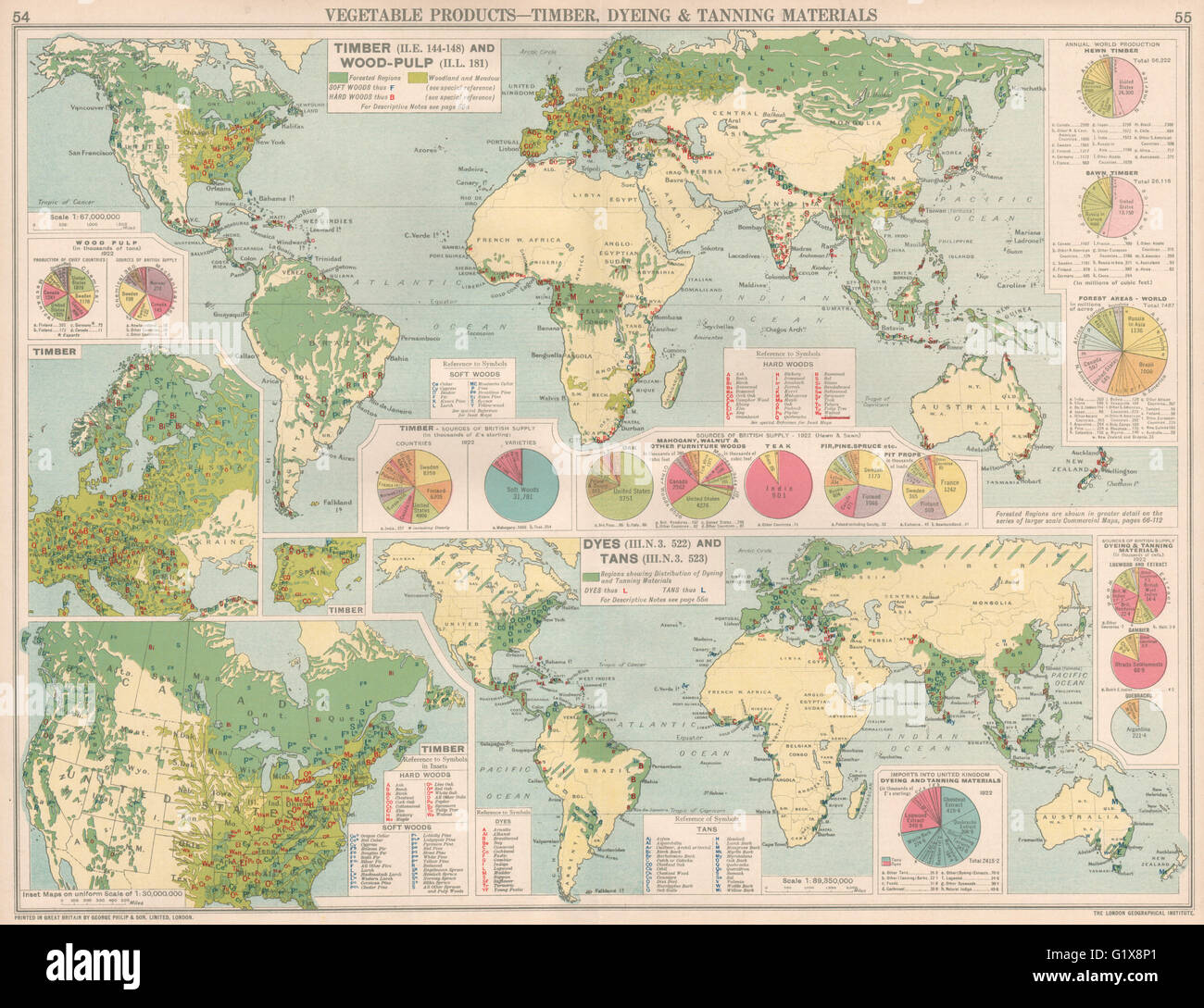 Mondo. Legname, tintura concia e la produzione di materiale. La pasta di legno, 1925 mappa vecchia Foto Stock