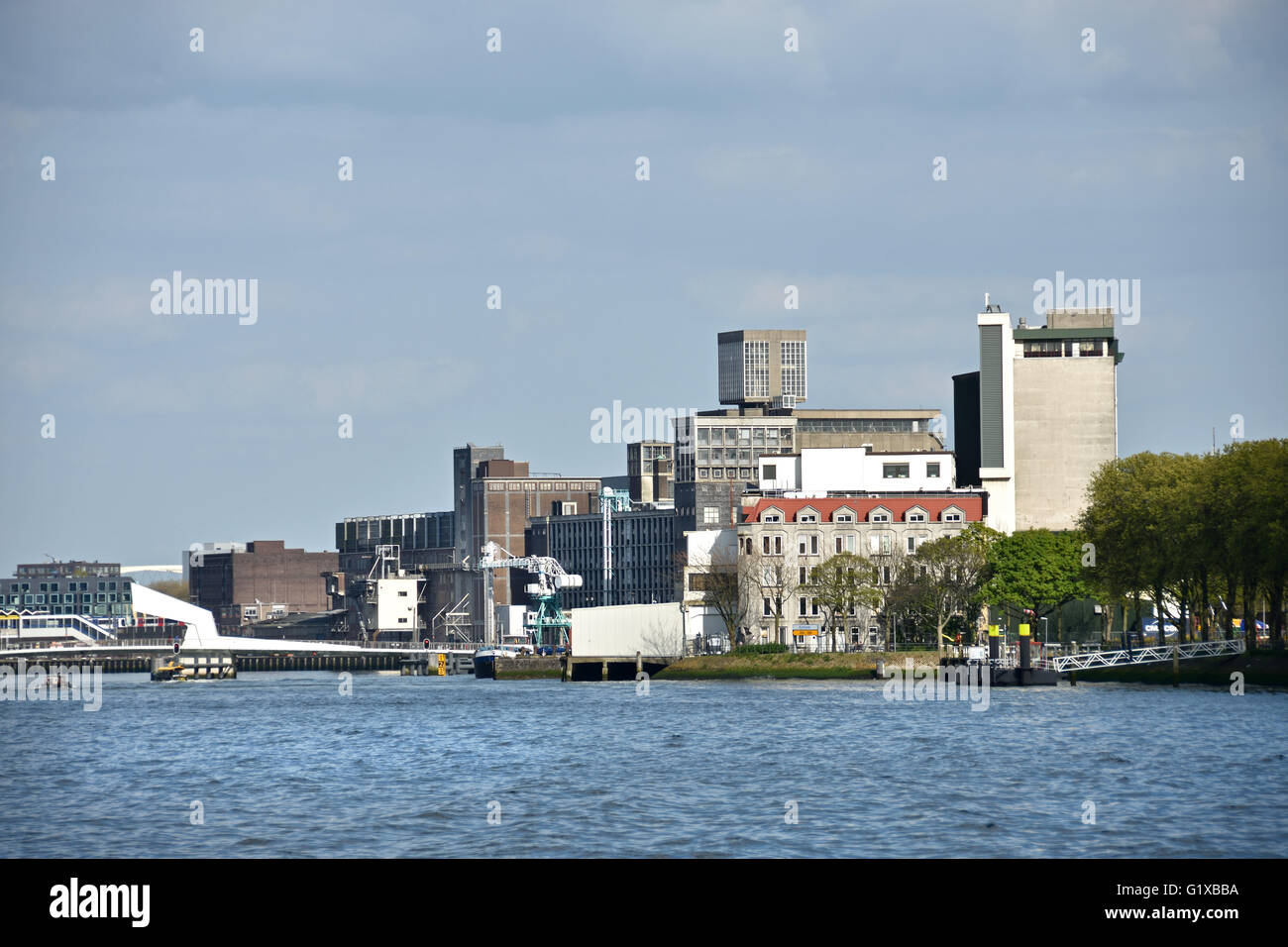 World Port Center ( Kop van Zuid ) Montevideo hotel New York Rotterdam Paesi Bassi olandese ( Nuova Maas Fiume Ponte Erasmus Swan ) Foto Stock