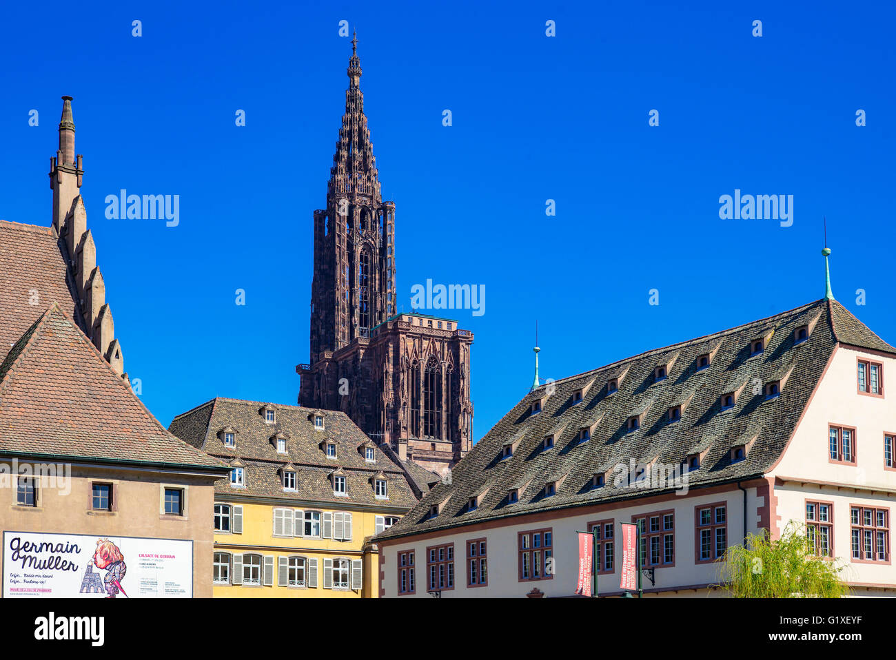 Ancienne Douane, ex casa doganale, il museo storico e la cattedrale di Strasburgo, Alsazia, Francia, Europa Foto Stock
