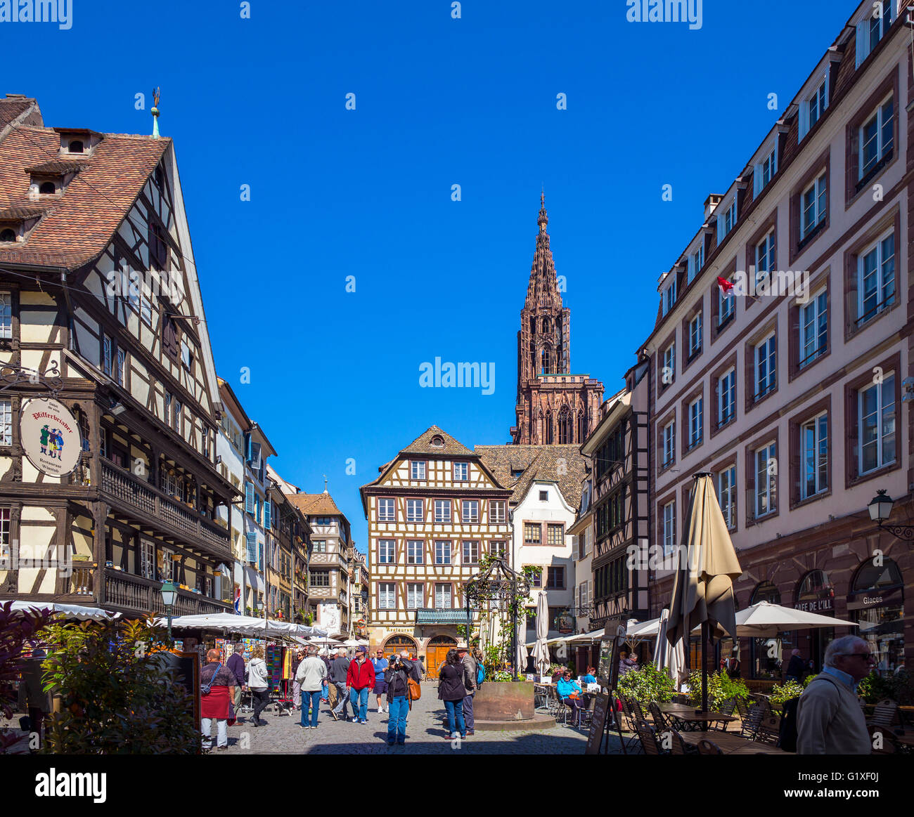 Place du Marché Aux Cochons De Lait Square e Cattedrale di Strasburgo, Alsazia, Francia, Europa Foto Stock