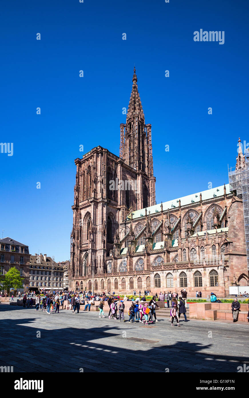 Place du Château quadrato con Notre-Dame cattedrale gotica del XIV secolo, Strasburgo, Alsazia, Francia Foto Stock