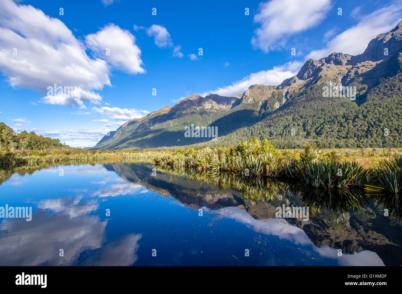 La riflessione di Earl montagne sullo specchio del lago che si trova presso il Milford Road,è uno della Nuova Zelanda è grande percorsi panoramici. Foto Stock