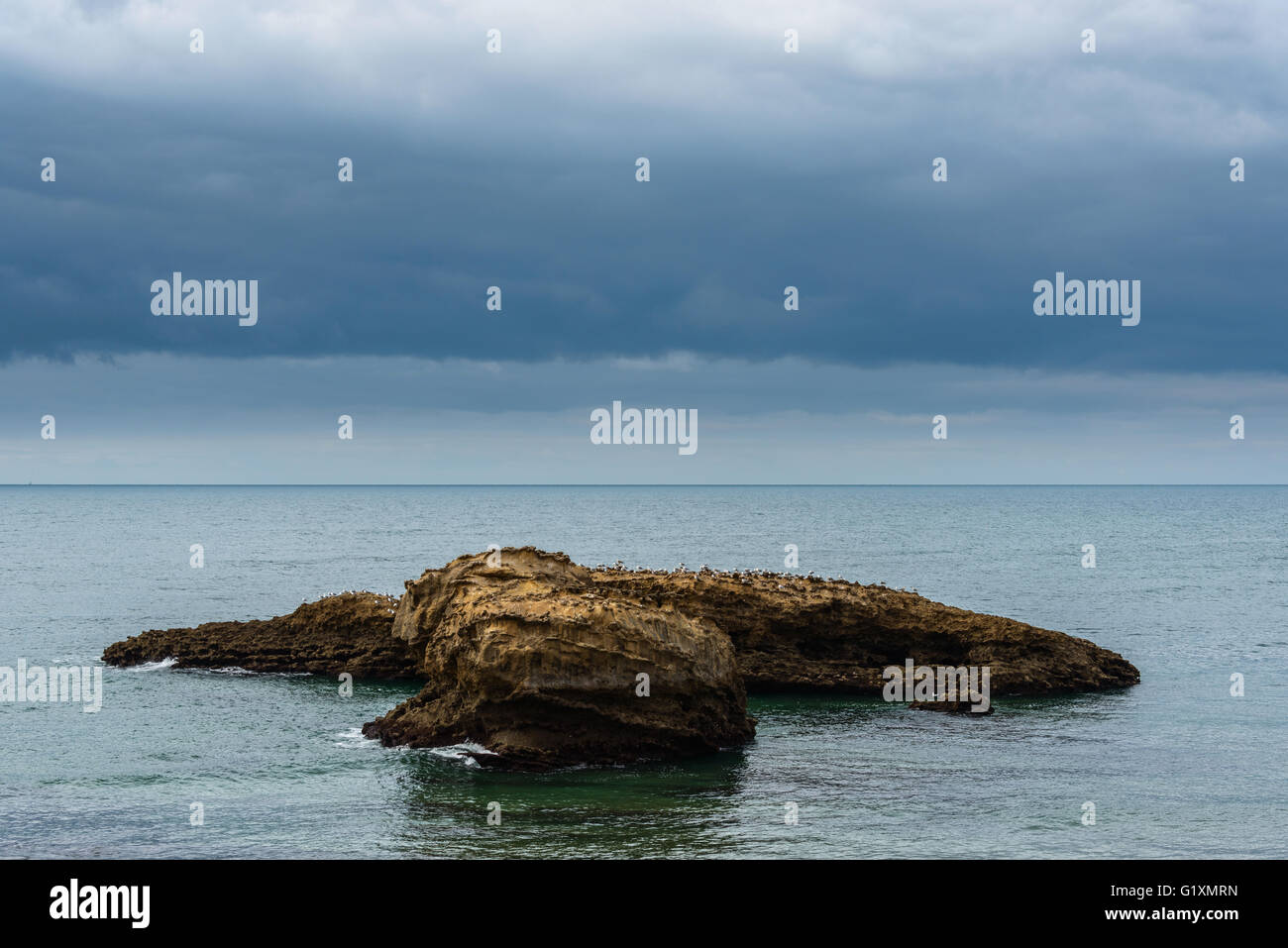 Seaguls su una roccia, paesaggio mare tempestoso meteo Foto Stock