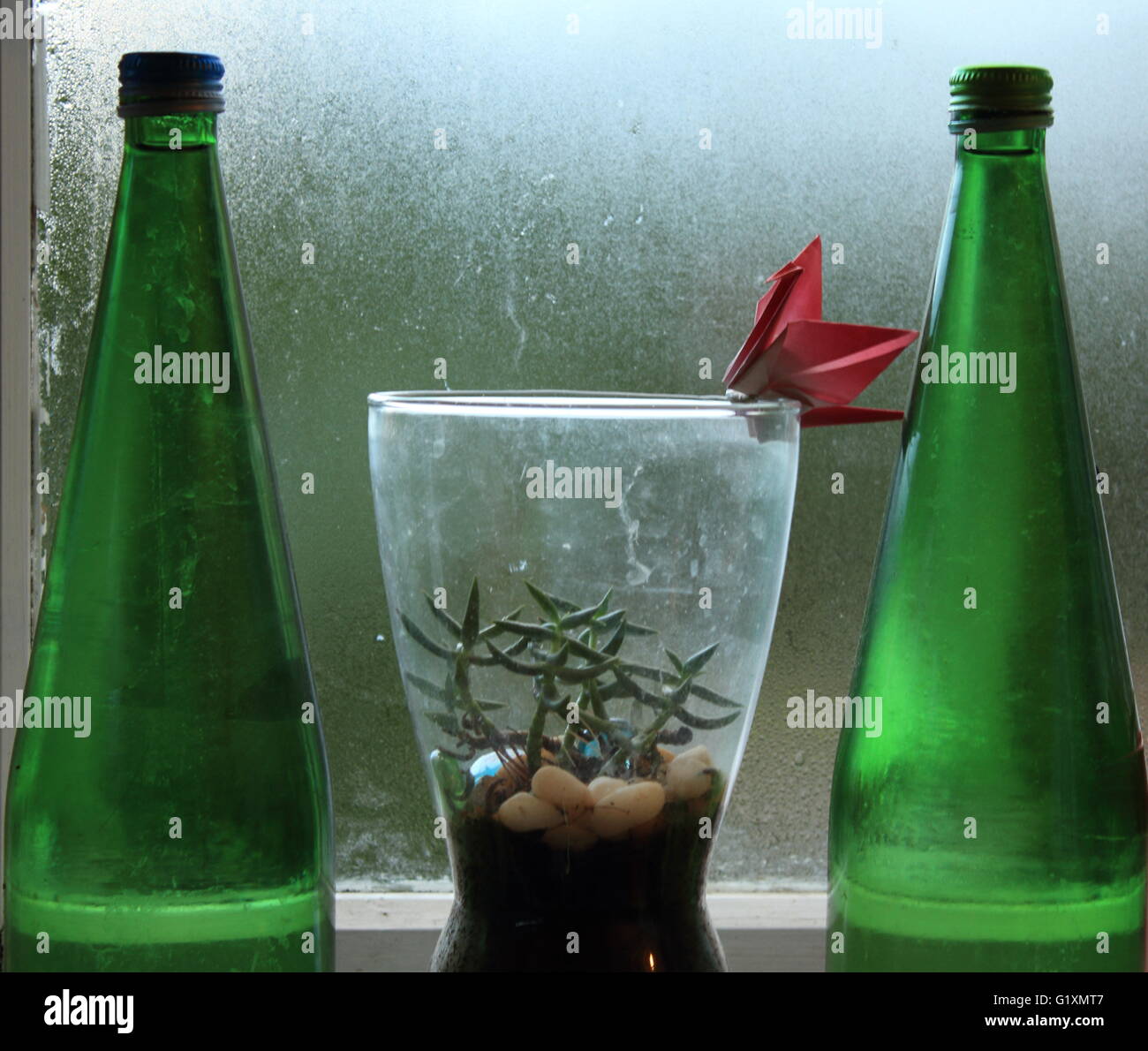 Un crame origami impostato sul bordo di un vetro con piante succulente con un vetro smerigliato sfondo inquadrato da una coppia di vino glas Foto Stock
