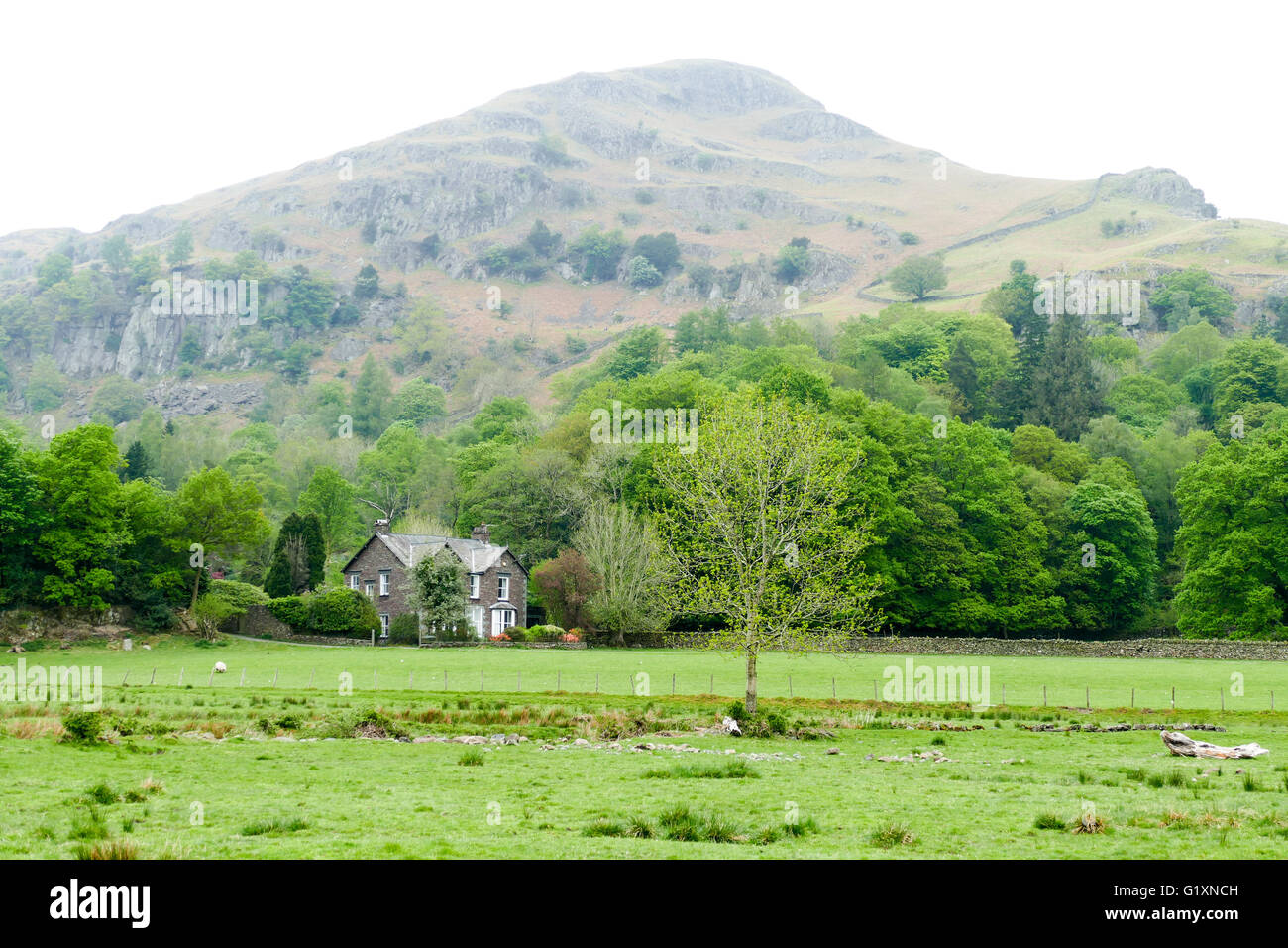 Vista di Helm's falesia una montagna vicino a Grasmere Foto Stock