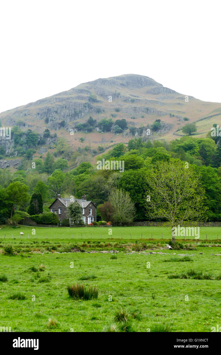 Vista di Helm's falesia una montagna vicino a Grasmere Foto Stock