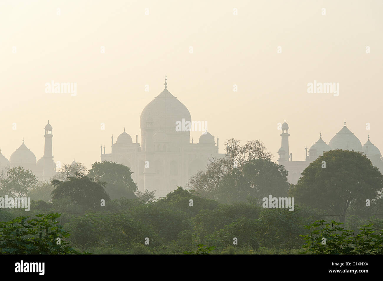 Taj Mahal visualizza durante la mattinata nebbiosa dal campo di grano vicino fiume Yamuna banca. Foto Stock