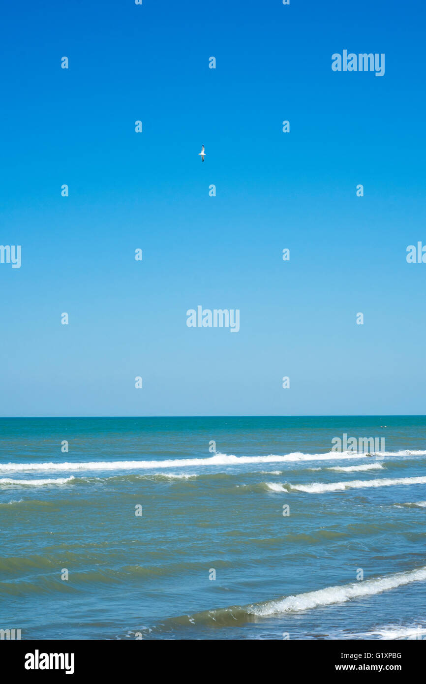 Seagull battenti sul mare, cielo blu Foto Stock