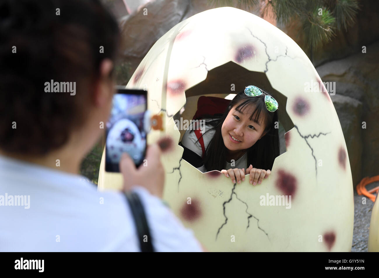 Pechino, Cina. 21 Maggio, 2016. Un turista ha la sua immagine presa all'interno di un uovo di dinosauro modello nella esperienza Dinosaur Park di Pechino, capitale della Cina, 21 maggio 2016. Il Parco dinosauri, il più grande del suo genere in Pechino, iniziò un funzionamento di prova il sabato e la gente ha offerto la possibilità di imparare circa gli antichi giganti. Credito: Li Jundong/Xinhua/Alamy Live News Foto Stock