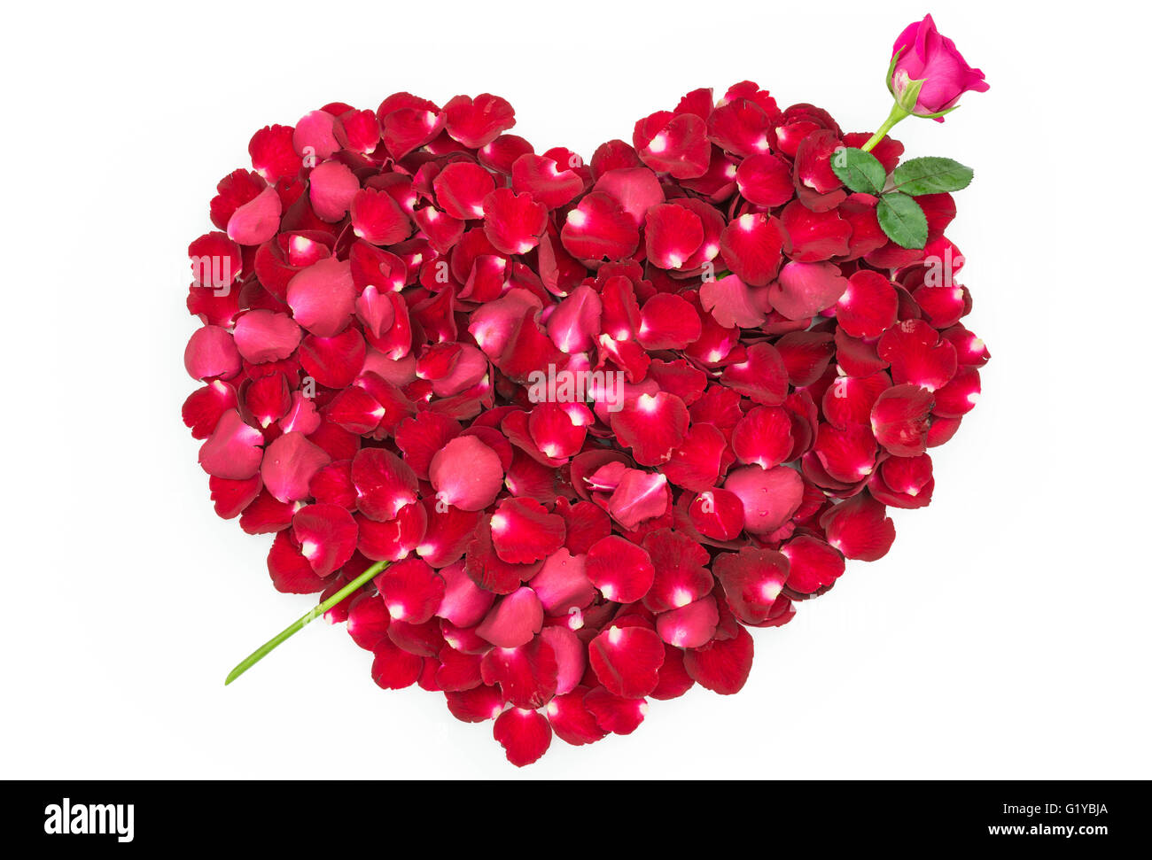 Petali di rosa a forma di cuore con freccia di Rose Foto Stock