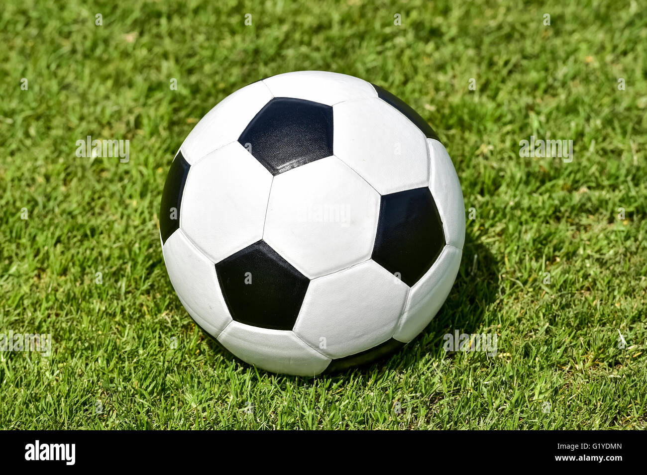 Bianco nero soccer, una palla di cuoio su un prato Foto Stock