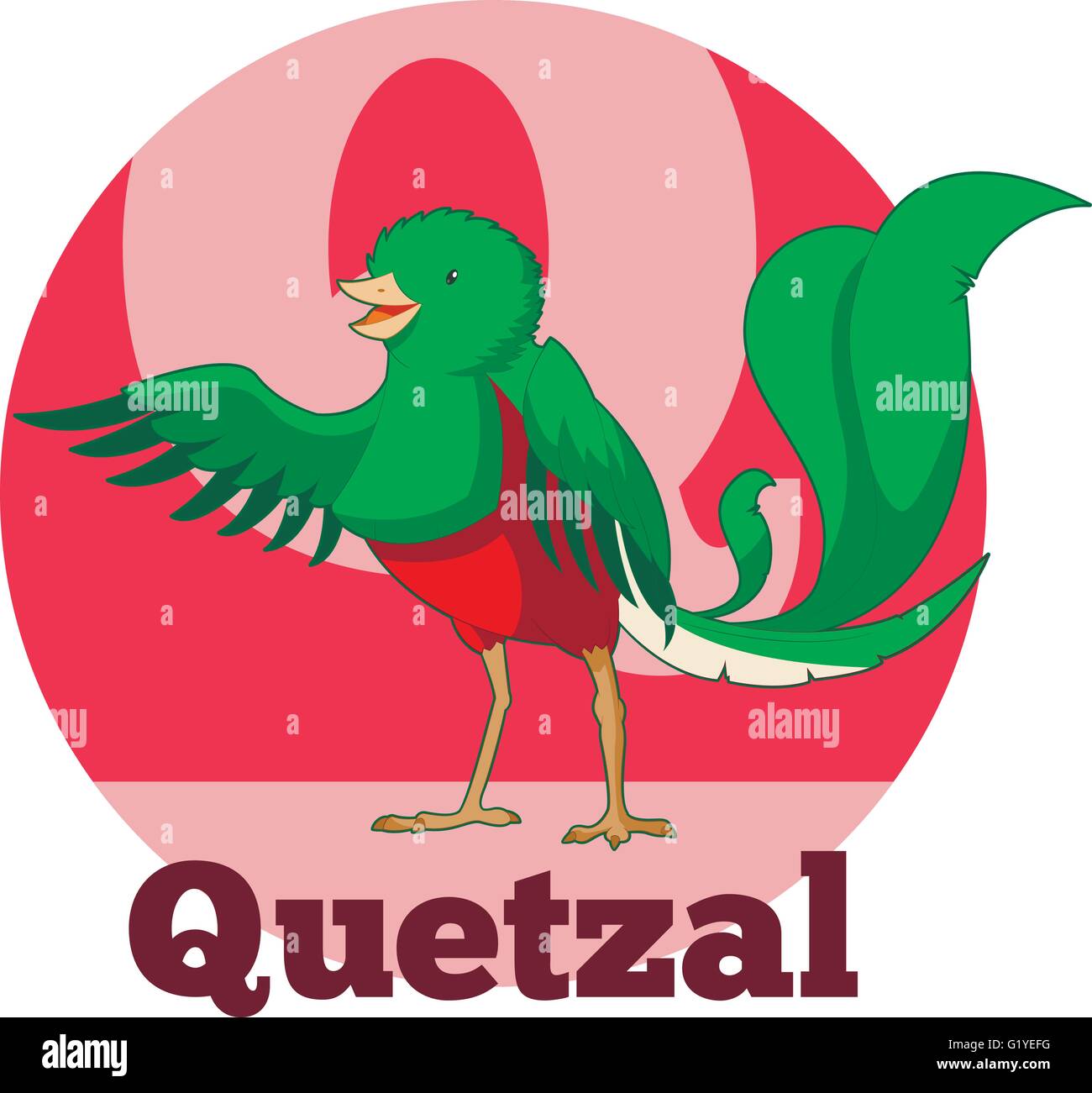 ABC Cartoon Quetzal Illustrazione Vettoriale