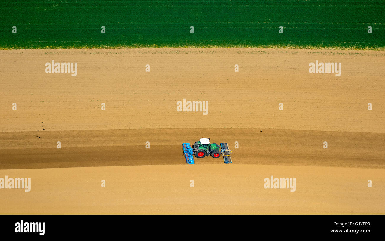 Vista aerea, esecutore di un campo arabile straziante e semina, Baesweiler, Niederrhein, Renania settentrionale-Vestfalia, Germania, Europa Foto Stock
