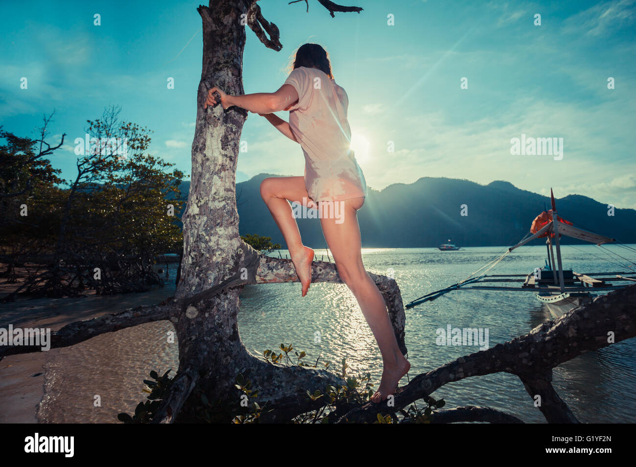 Una giovane donna è la scalata di un albero su una spiaggia tropicale Foto Stock