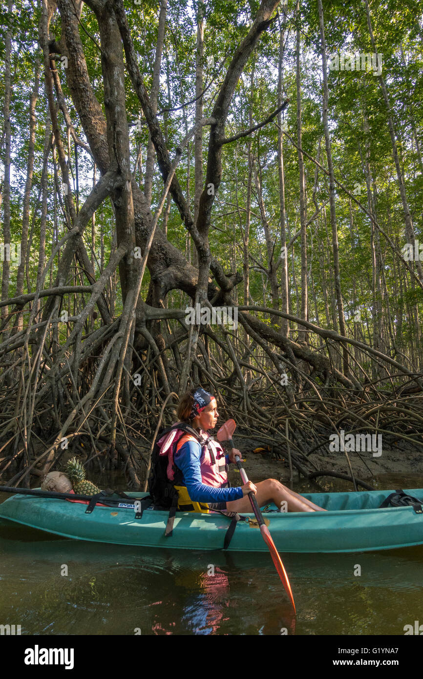 Penisola di OSA, COSTA RICA - Donna pagaie kayak nella palude di mangrovie. Foto Stock