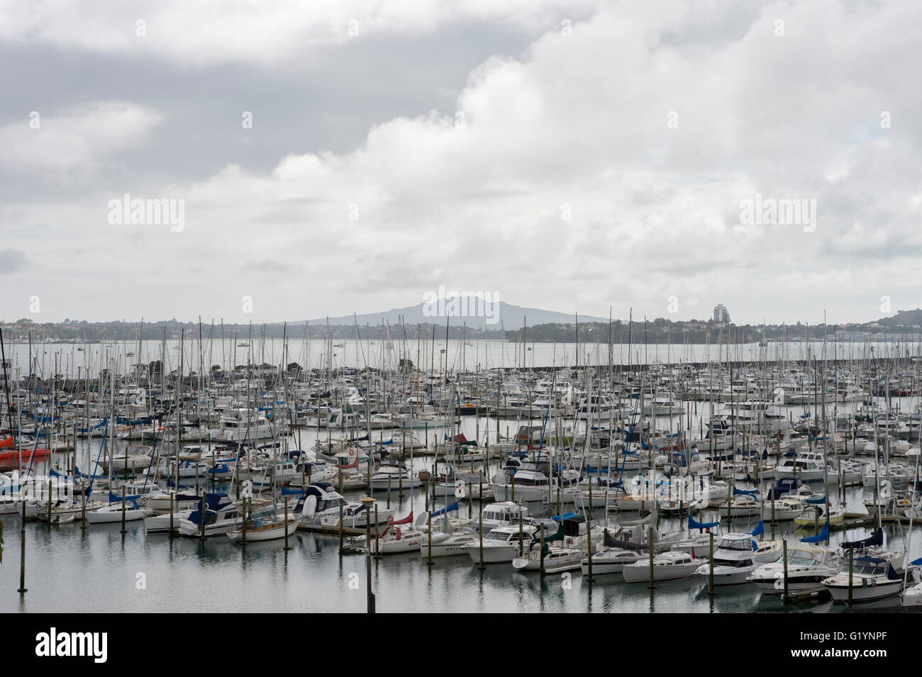 Westhaven Marina, Waitamata Harbour e Rangitoto Island, Auckland, Nuova Zelanda. Foto Stock