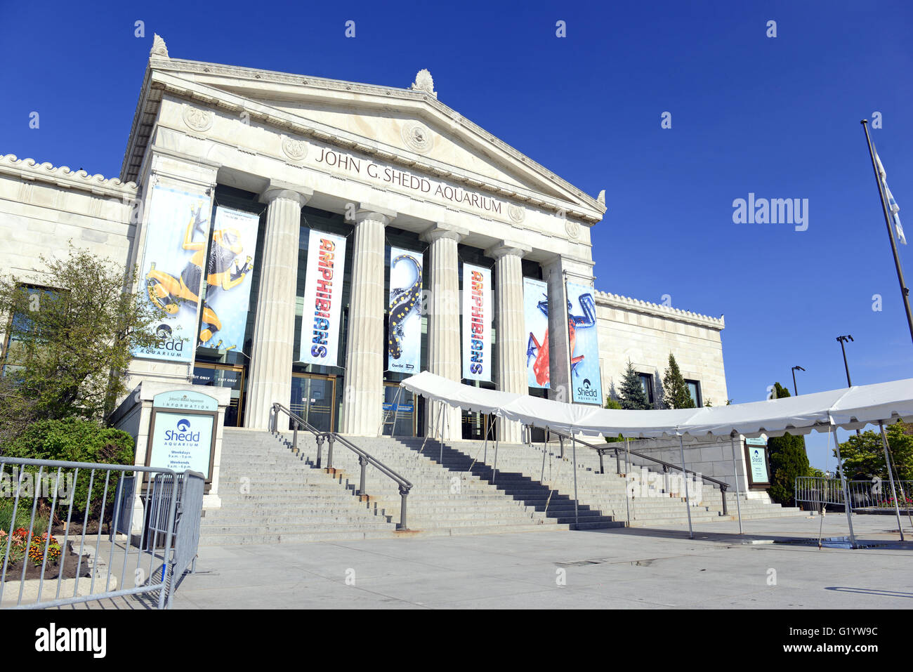 Il Shedd Aquarium di Chicago è una delle molte attrazioni in città e viene spesso affollata durante un weekend di pomeriggio. Foto Stock