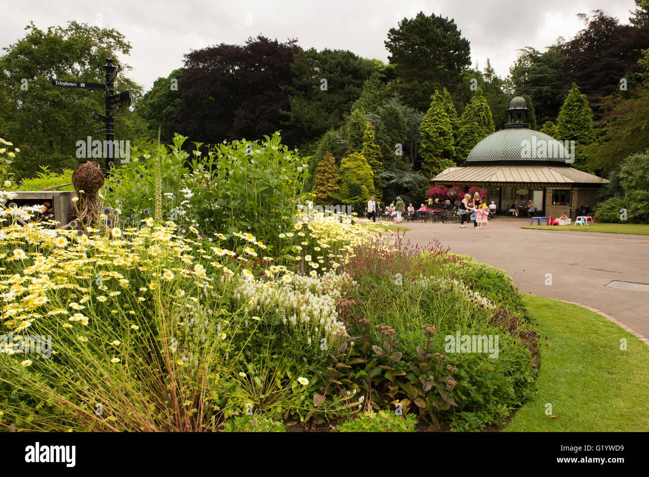 Giardini della valle, Harrogate, nello Yorkshire, Inghilterra - splendido parco con piante erbacee frontiera, piante perenni, café e persone rilassante. Foto Stock