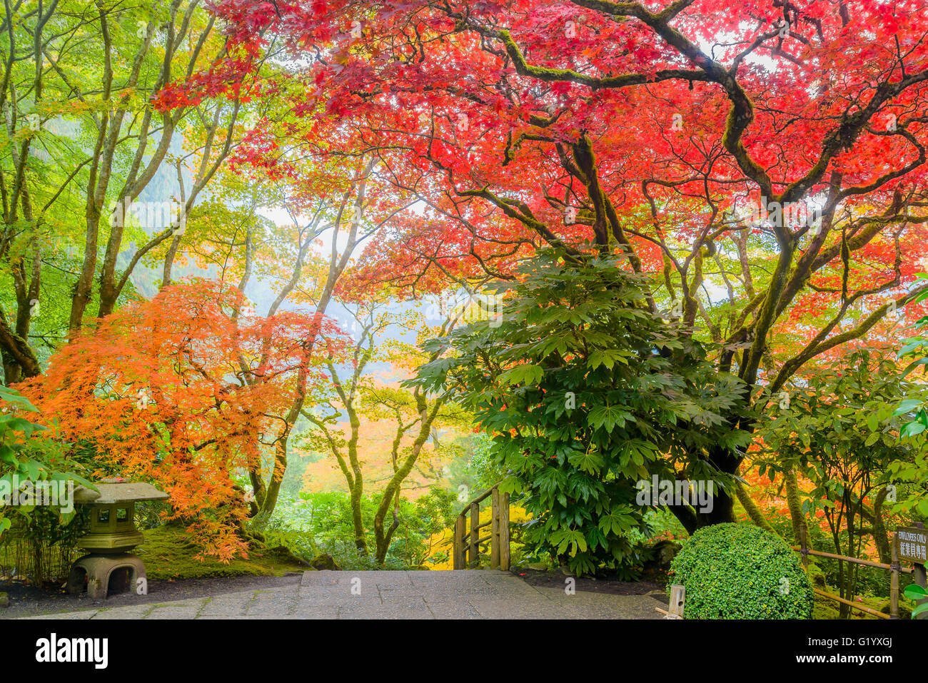 Autunno a colori, il Giardino Giapponese, Butchart Gardens, Brentwood Bay, l'isola di Vancouver, British Columbia, Canada Foto Stock