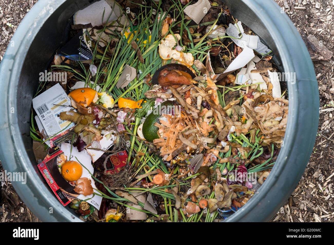 Interno di una plastica compost bin per uso domestico con residui di cibo e scarti da giardino interno Foto Stock